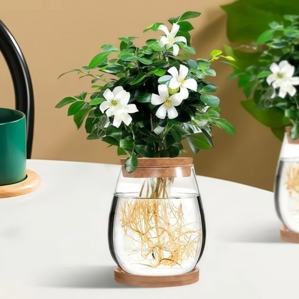 Propagation Station Vase - Şeffaf Hidroponik Saksı, Ahşap Tepsi, Cam