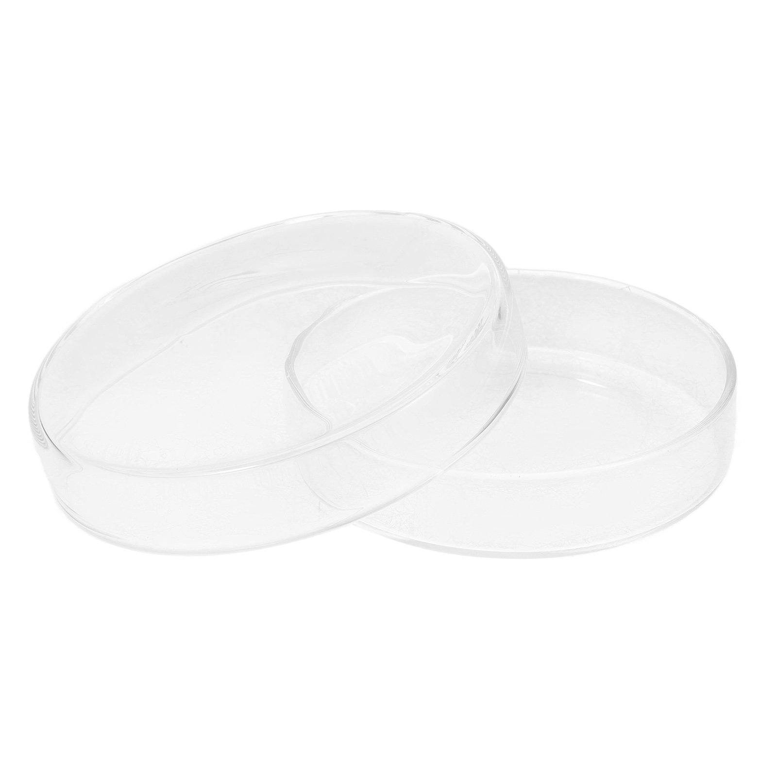 Agar Tissue Culture - Yüksek Borosilikat Cam Petri Kabı Doku
