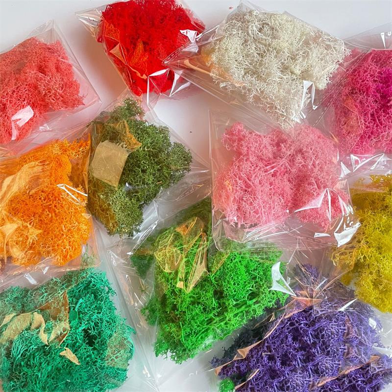Sphagnum Moss Dry - 20-200g Yapay Yeşil Bitkiler Polyester Yosun