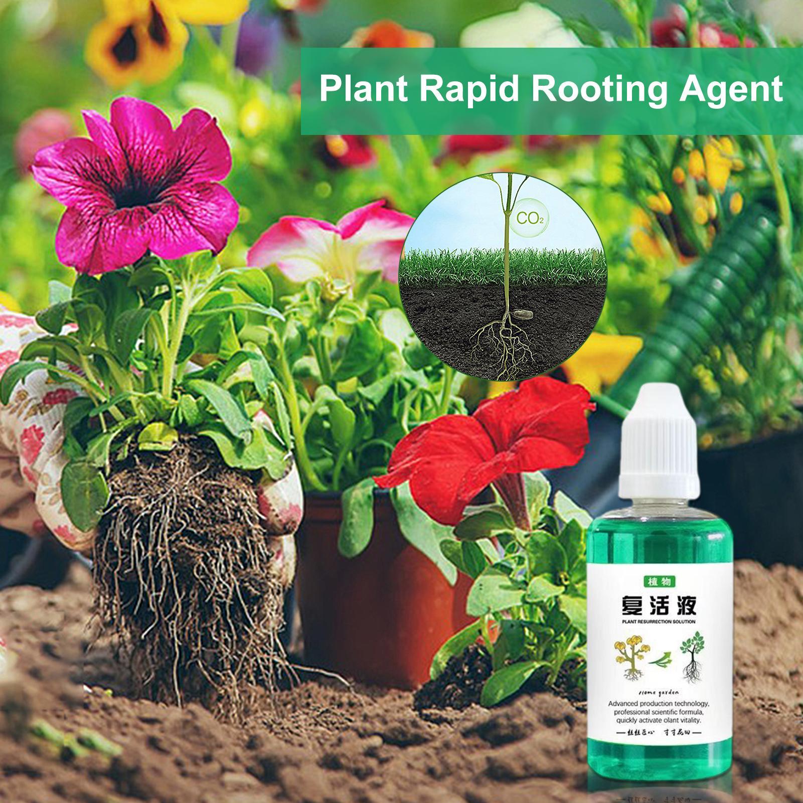 50ml Kök Stimülatörü Bitki Can - Root Stimulator Liquid incelemesi ve fiyatı
