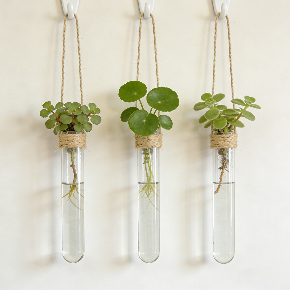 Hidroponik Çiçek Vazosu Duvara - Propagation Station Vase incelemesi ve fiyatı