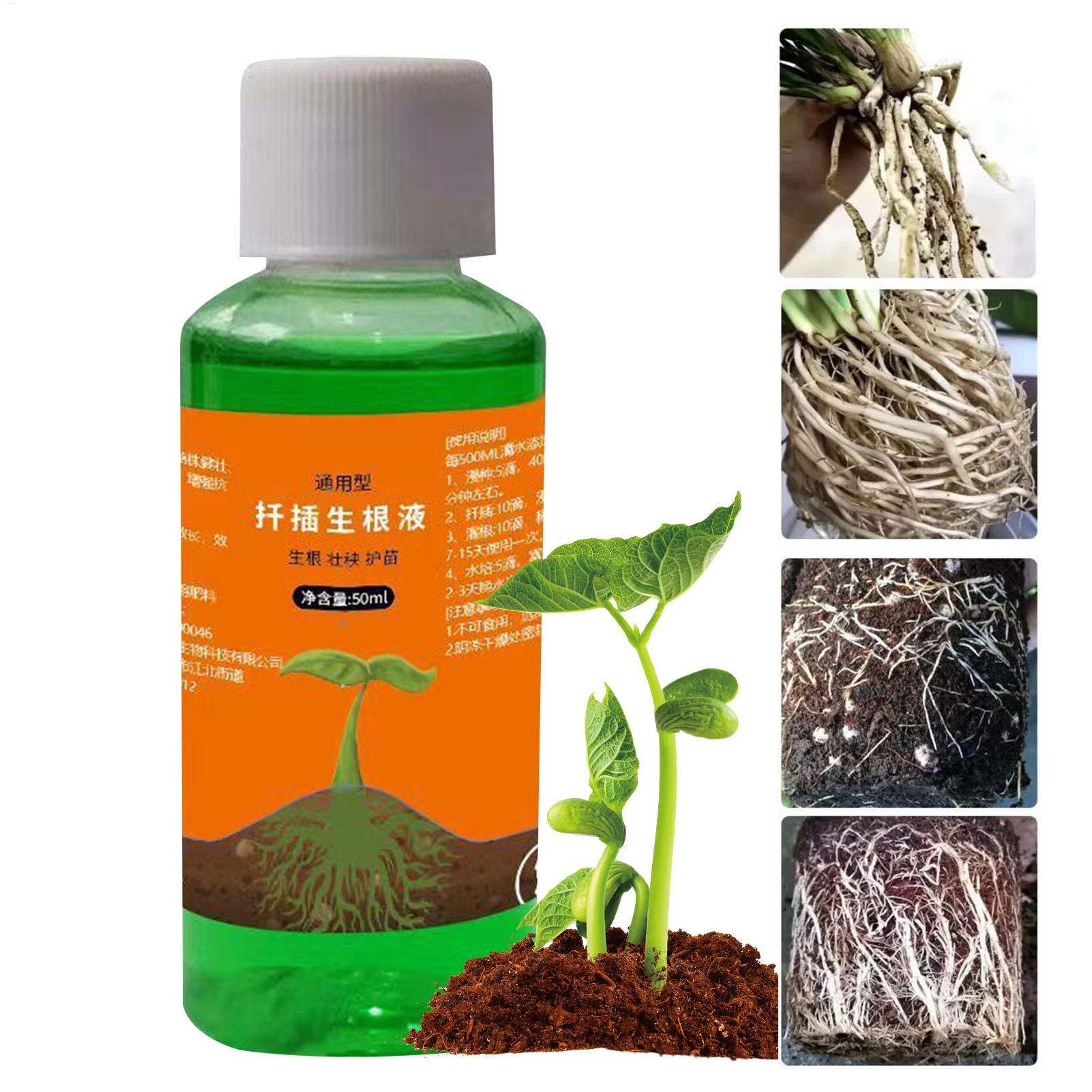 50ml Fide Yetiştirme Besin Sol - Root Stimulator Liquid incelemesi ve fiyatı