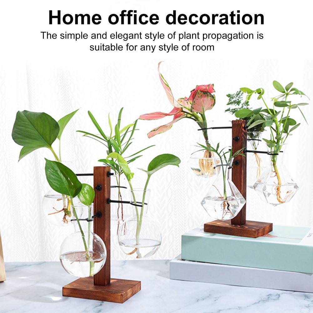 1 takım 10*25 cm Bitkiler Yayı - Propagation Station Vase incelemesi ve fiyatı