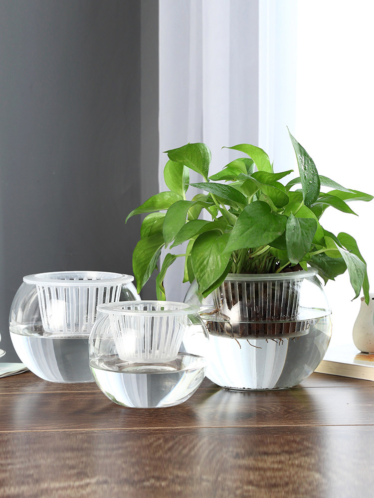 Hidroponik Cam Vazo, Cam Yeşil - Propagation Station Vase incelemesi ve fiyatı