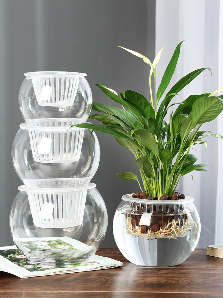 Hidroponik Cam Vazo, Cam Yeşil - Propagation Station Vase incelemesi ve fiyatı